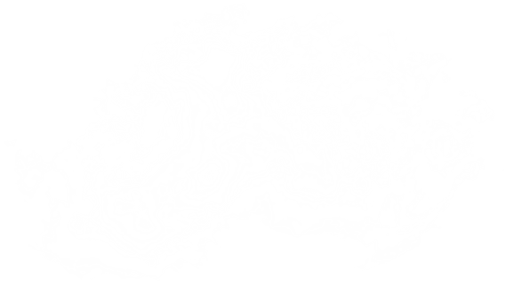 main-banner-decor-img-02